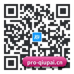 系统版 iOS 二维码